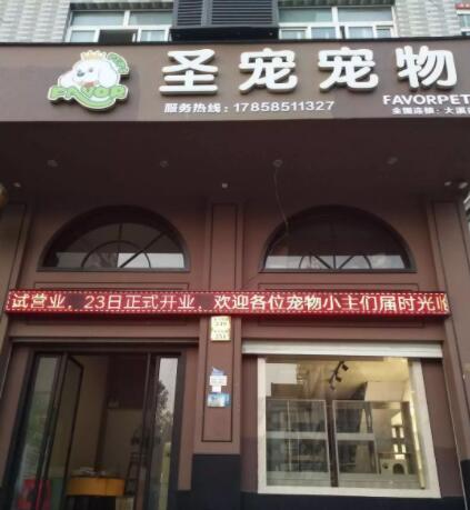 有创意的宠物店名字