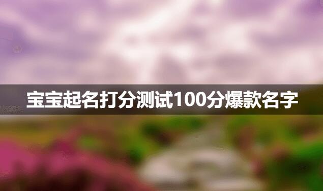 新生儿取名打分测试打分100分